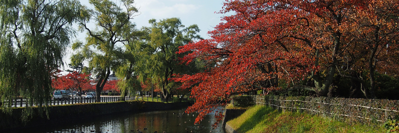 autumn colours