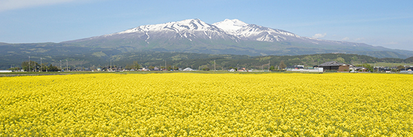 鳥海山三景